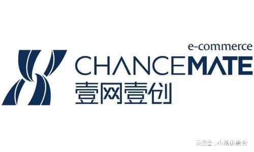 澳门·新葡萄新京6663十大电商代运营服务商榜单(图1)