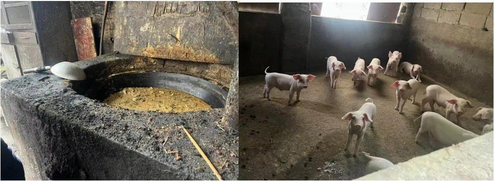 澳门·新葡萄新京6663(中国)官方网站安徽屯溪区被曝餐饮行业环境问题突出 群众(图4)